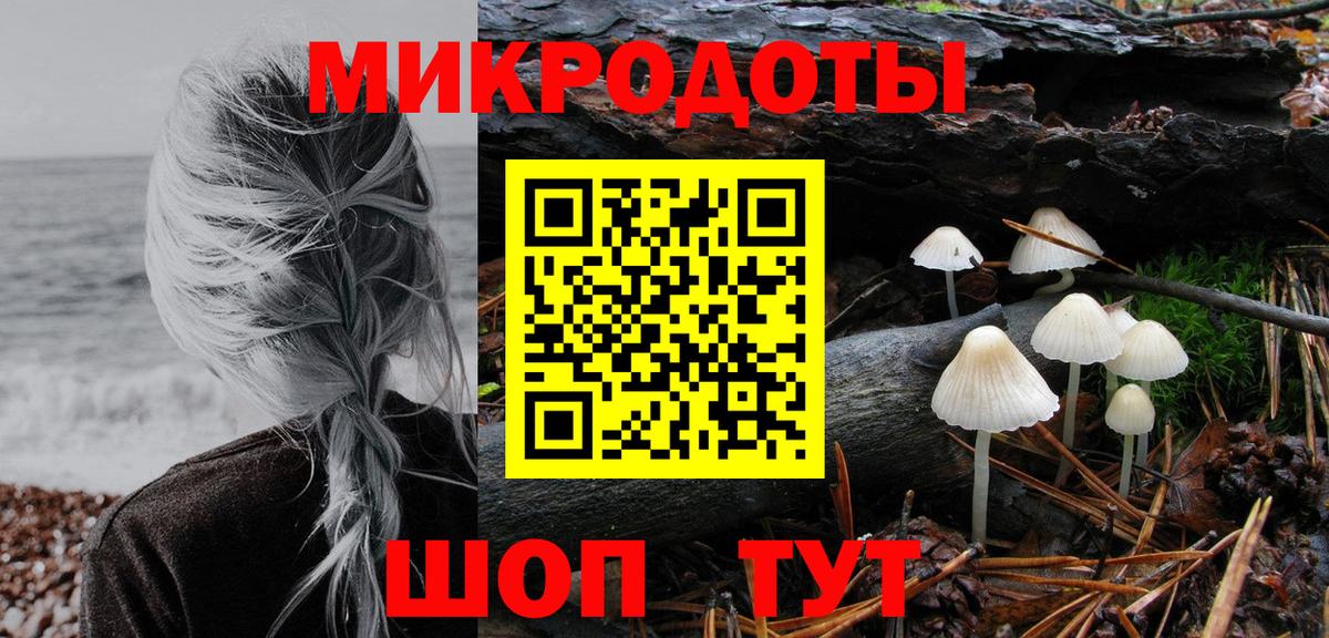 Псилоцибиновые грибы Psilocybine cubensis  Вход с VPN  Кольчугино 