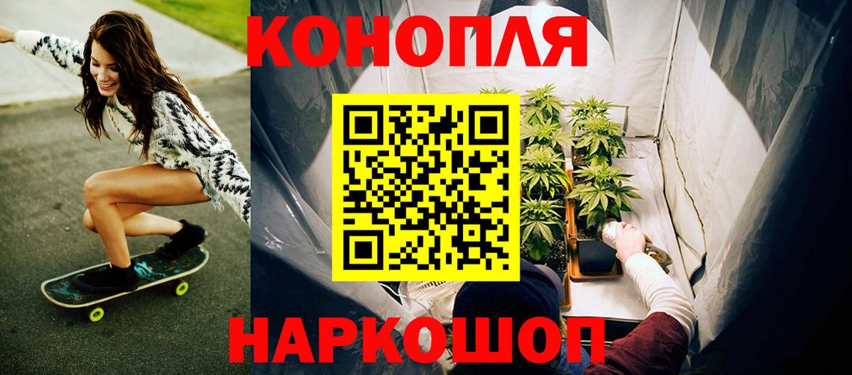 Канабис конопля  Конопля индика  Бошки марихуана планчик  МАРИХУАНА семена  Кольчугино  Вход с VPN 